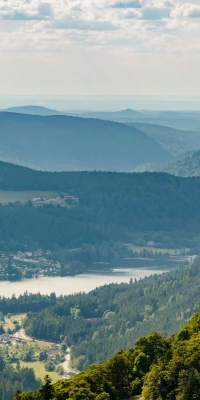 Massif des Vosges