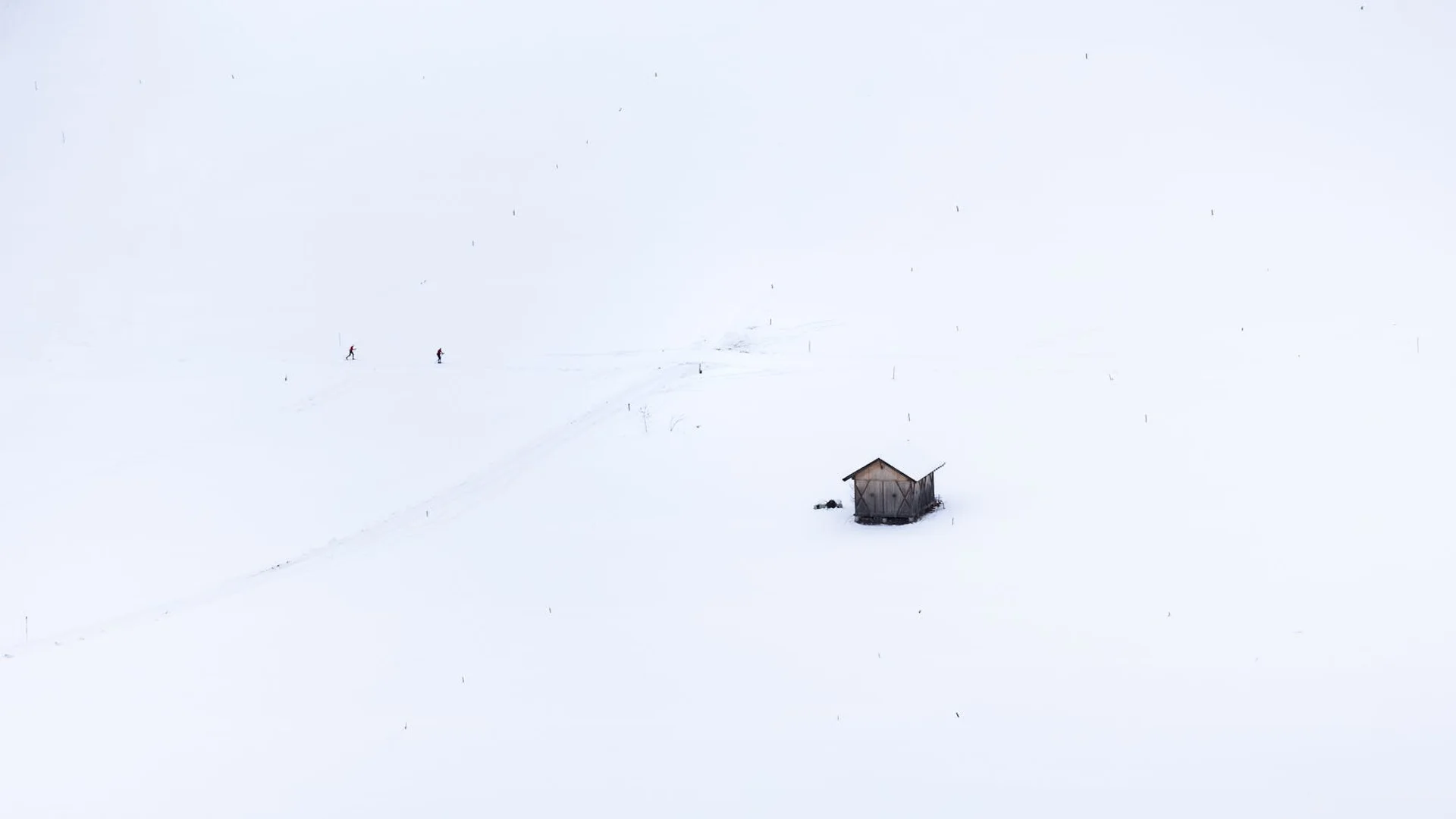Skieur pratiquant le ski nordique descente piste enneigée montagne